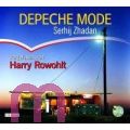Serhij Zhadan, Depeche Mode: Schall & Wahn